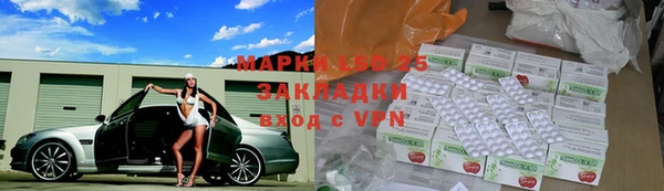 apvp Алексин