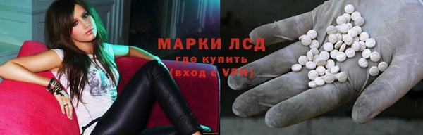apvp Алексин