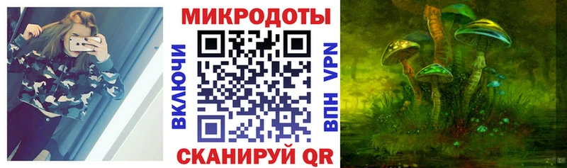 наркошоп  Рыбное  Псилоцибиновые грибы Psilocybe 